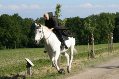 401