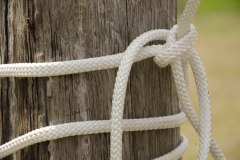 df_20150627_DSC_8617