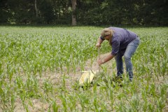 df_20150627_DSC_8628